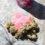 top 10 myths about medical marijuana