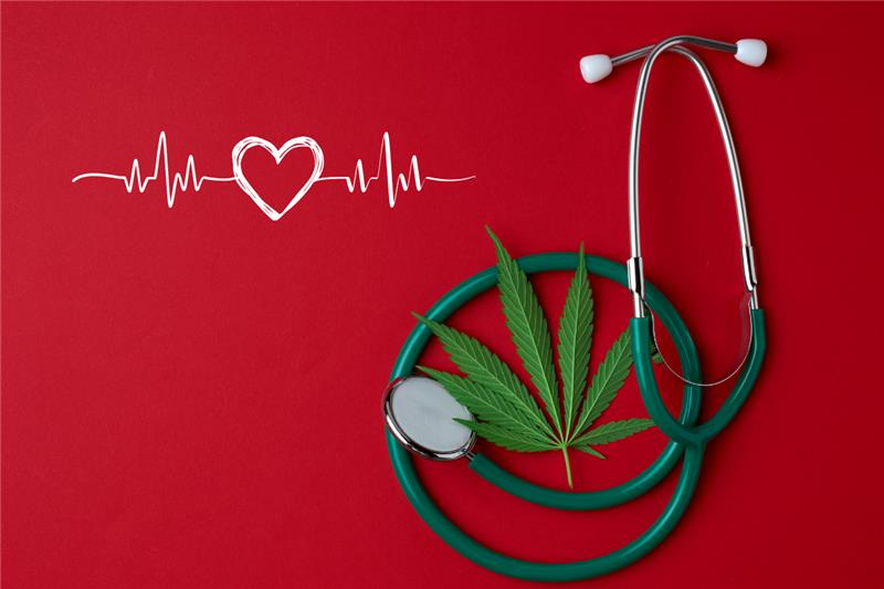 Does Marijuana Increase Heart Rate? What Science Says