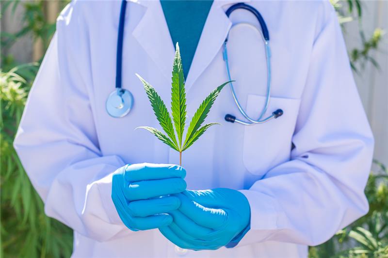 Looking for Free Weed Doctors in Mississippi?