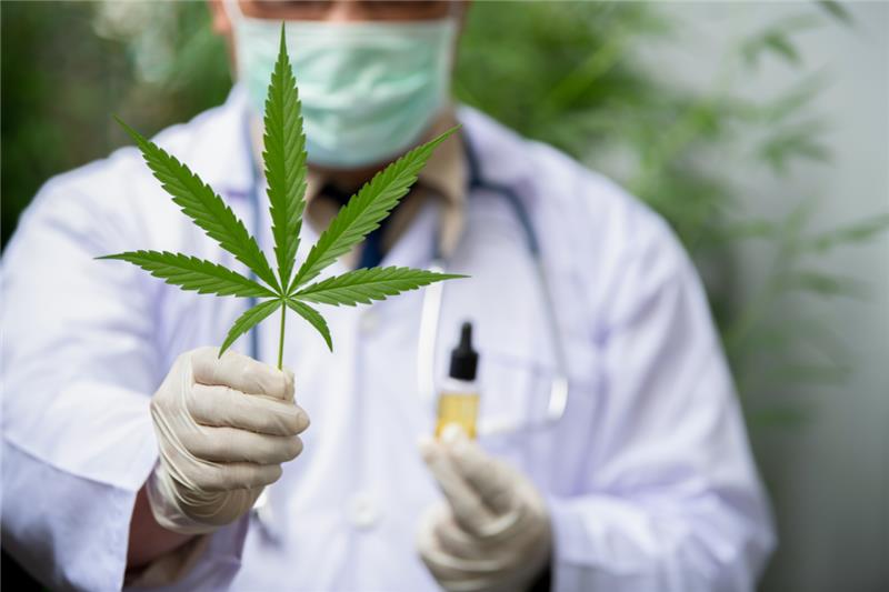 Find the Best Medical Marijuana Doctors Near Me